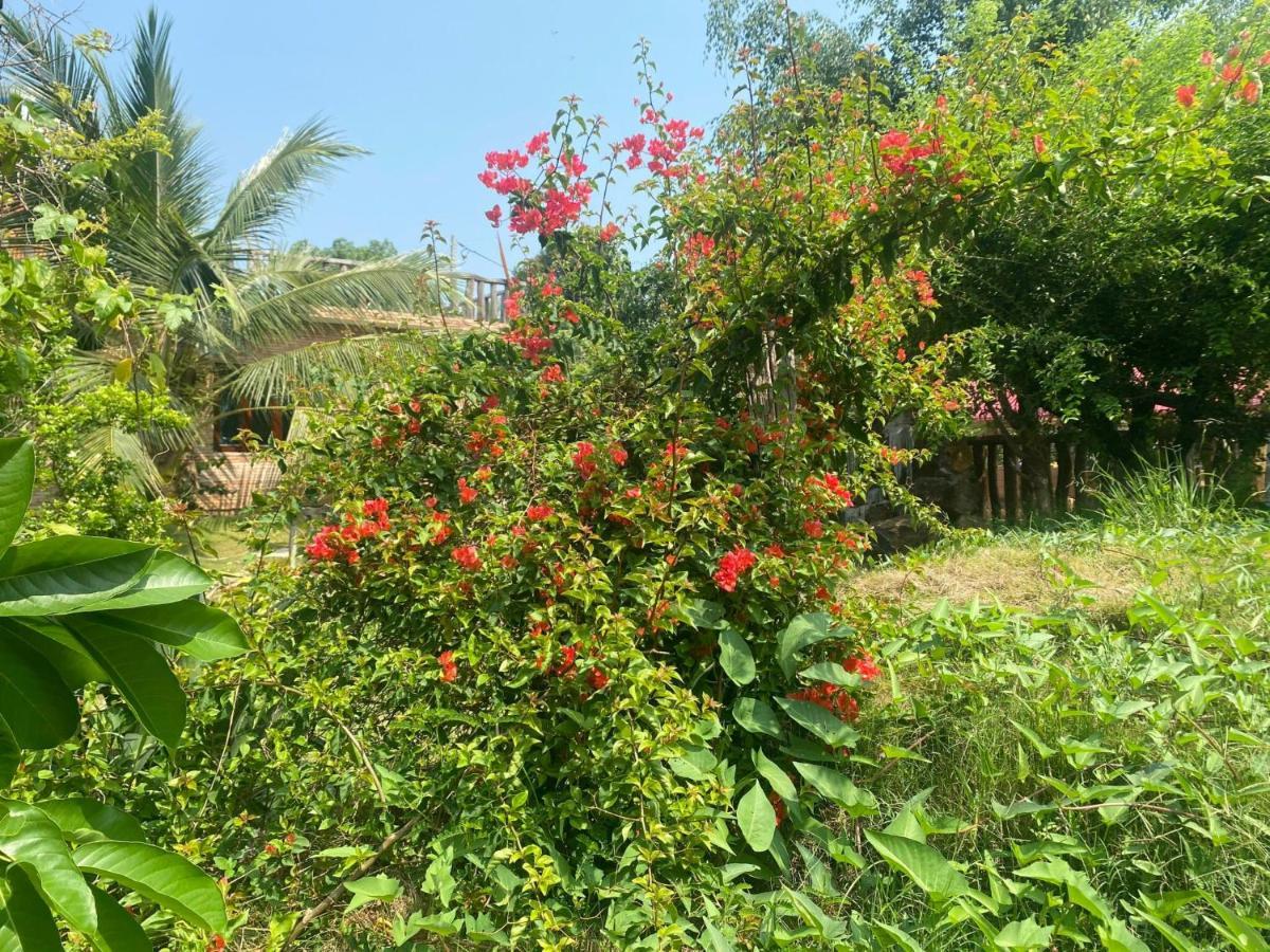 Ngoc Tien Farmer Eco Lodge Cát Tiên Eksteriør bilde